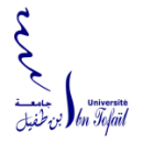 universite-ibn-tofail-logo