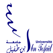 universite-ibn-tofail-logo